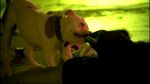 Filename=VM_1x01_Pilot_378.jpg
Filesize=157KB
Dimensions=1280x720
Date added=Oct 29, 2005 VM_1x01_Pilot_378.jpg