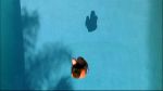 Filename=VM_2x01_NItW_519.jpg
Filesize=256KB
Dimensions=1280x720
Date added=Aug 22, 2006 VM_2x01_NItW_519.jpg