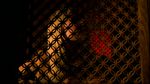 Filename=VM_2x12_RaWGtWC_331.jpg
Filesize=259KB
Dimensions=1280x720
Date added=Nov 13, 2006 VM_2x12_RaWGtWC_331.jpg