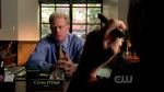 Filename=Veronica_Mars_3x09_135.jpg
Filesize=105KB
Dimensions=624x352
Date added=Nov 29, 2006 Veronica_Mars_3x09_135.jpg